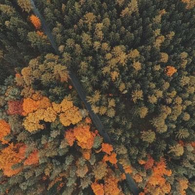 AWS Credits $1000